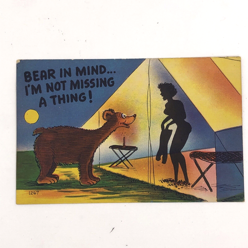 Colourpicture 1267 Comic Linen Postcard Camping Sexy Woman Shadow Bear 1940s - Picture 4 of 4