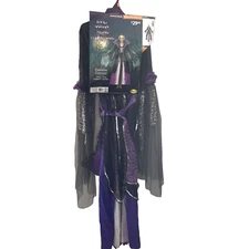 Partyholic Woman's Evil Queen Costume Medium (8-10)