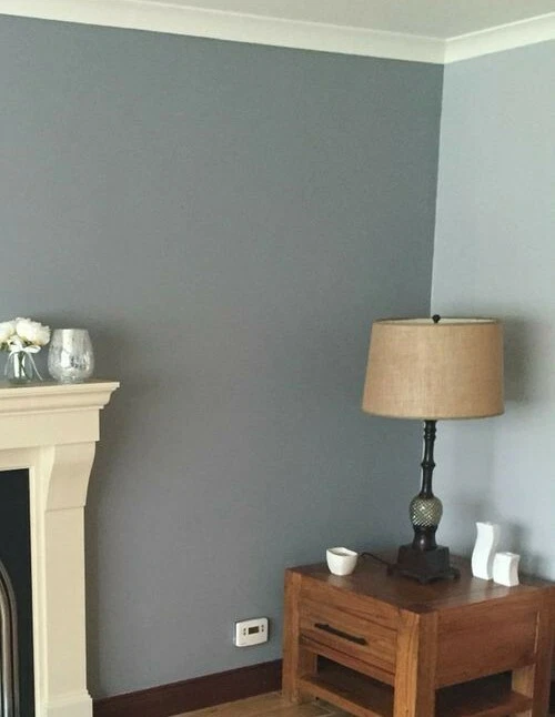 Grey 2024 colour wall