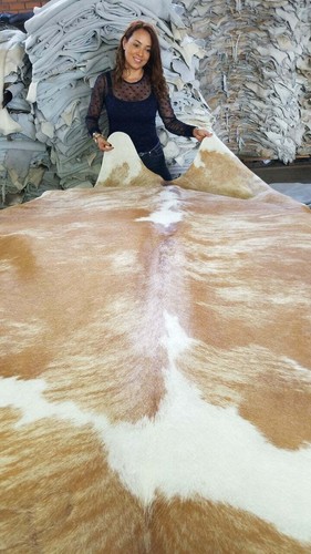 Palomino and White Brazilian Cowhide Rug: XL - Picture 8 of 10
