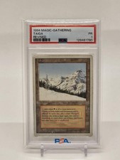 Land Magic: The Gathering Professional Sports Authenticator (PSA