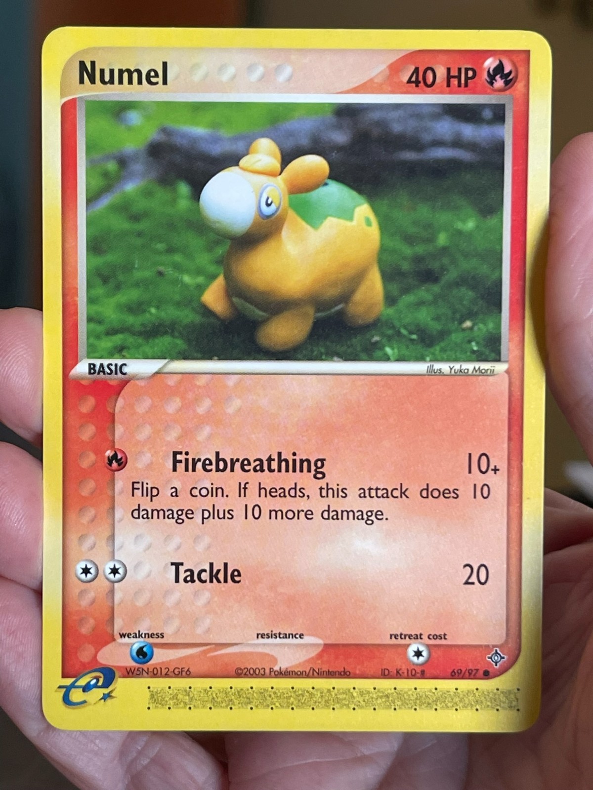 POKEMON NUMEL 69/97 COMMON EX DRAGON NM CARD