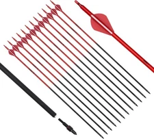 30'' Carbon Arrows 2'' TPU Vanes Archery Practice Arrows Outdoor Hunting 6/12pcs