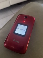 Unlocked  Cell Phone Flip Phone Style - Mint Condition