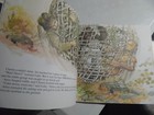 Foto 6 di 8