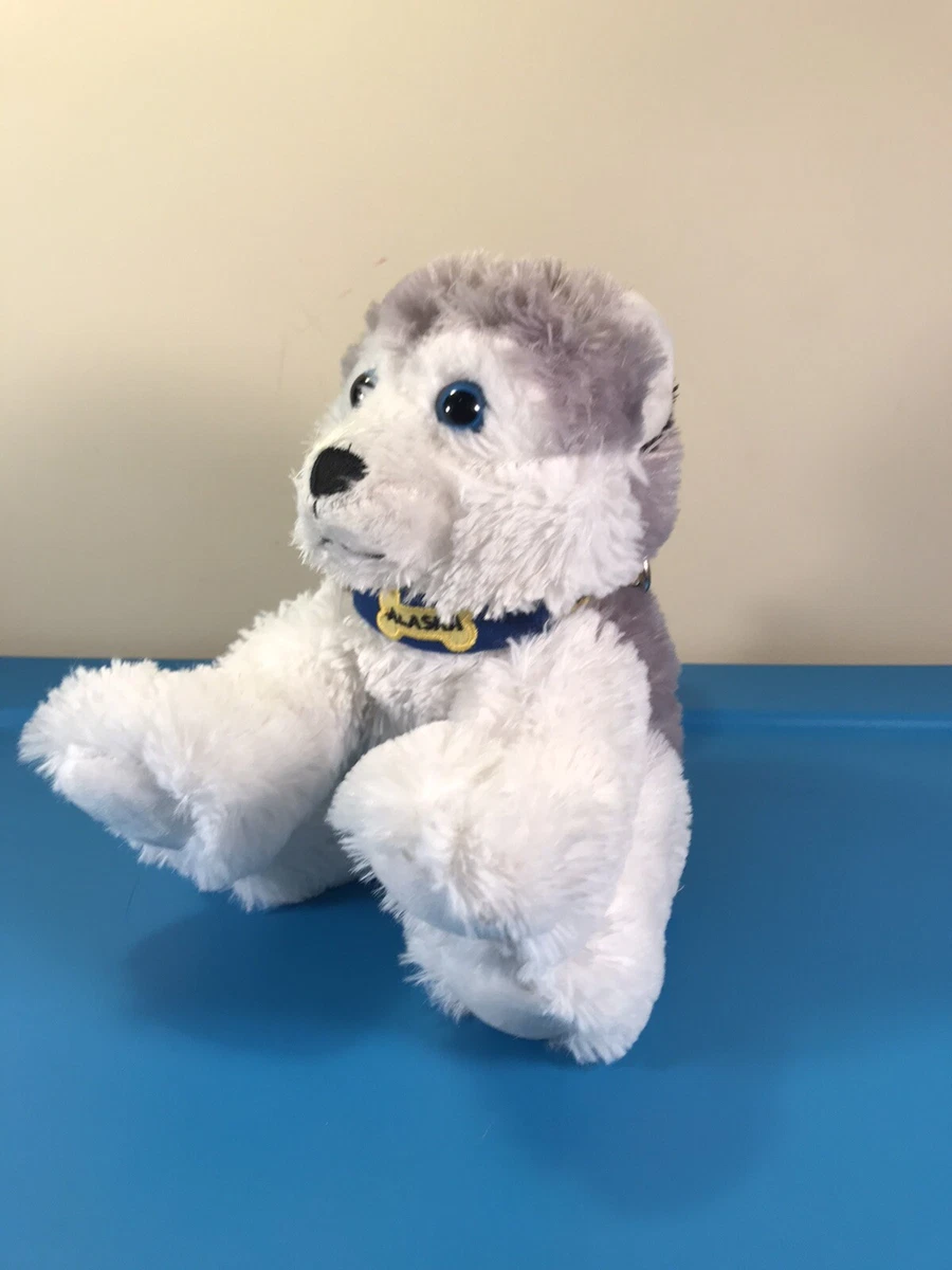 Best collar hotsell for husky puppy
