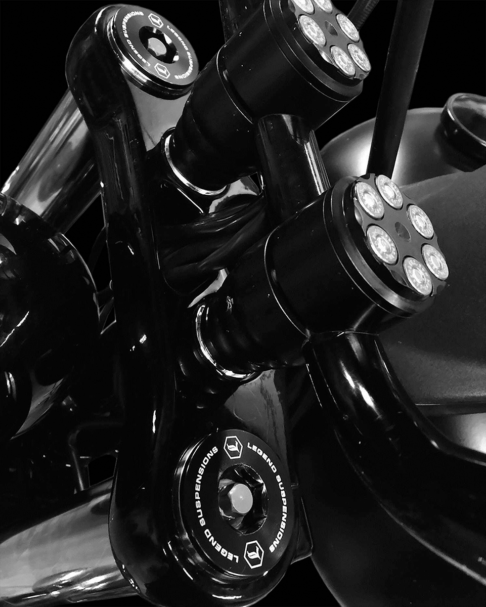 Legend Axeo 49mm Front End Fork Spring Cartridges 20062017 Harley DYNA