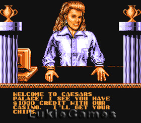 Caesars Palace - Fun NES Nintendo Game
