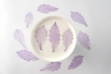 M&T 2007 12PCS real Pressed dry dyed leaves, Floral supply for art craft FSS33