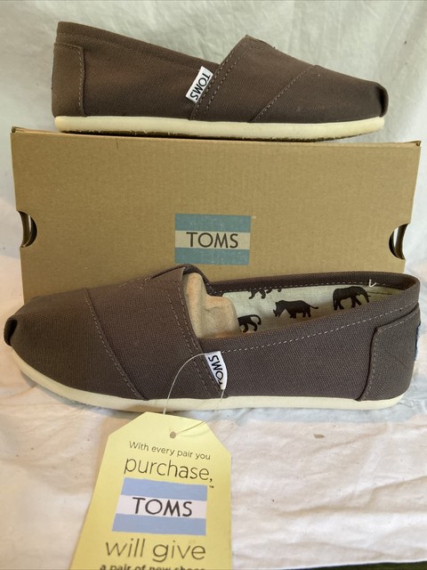 toms ash canvas