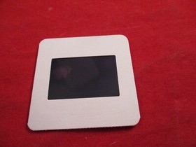 Tomcat Alley Sega CD Consumer Electronic Show (CES) Promo Slide