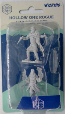 CRITICAL ROLE MINIATURES ~ HOLLOW ONE ROGUE & SORCERER