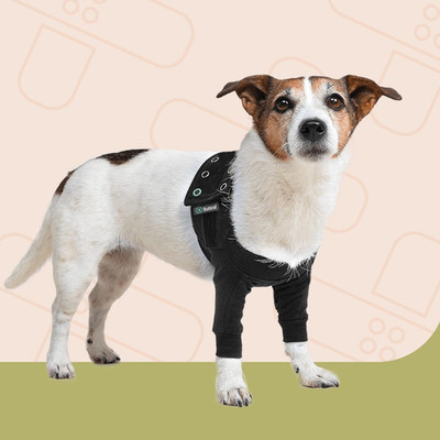 Recovery Double Sleeves - 2Xsmall - Black - Tutore Arto per Cane