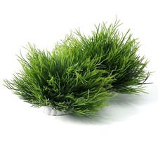 2Pcs Aquarium Plants Fish Tank, Natural Fake Aquarium Plants