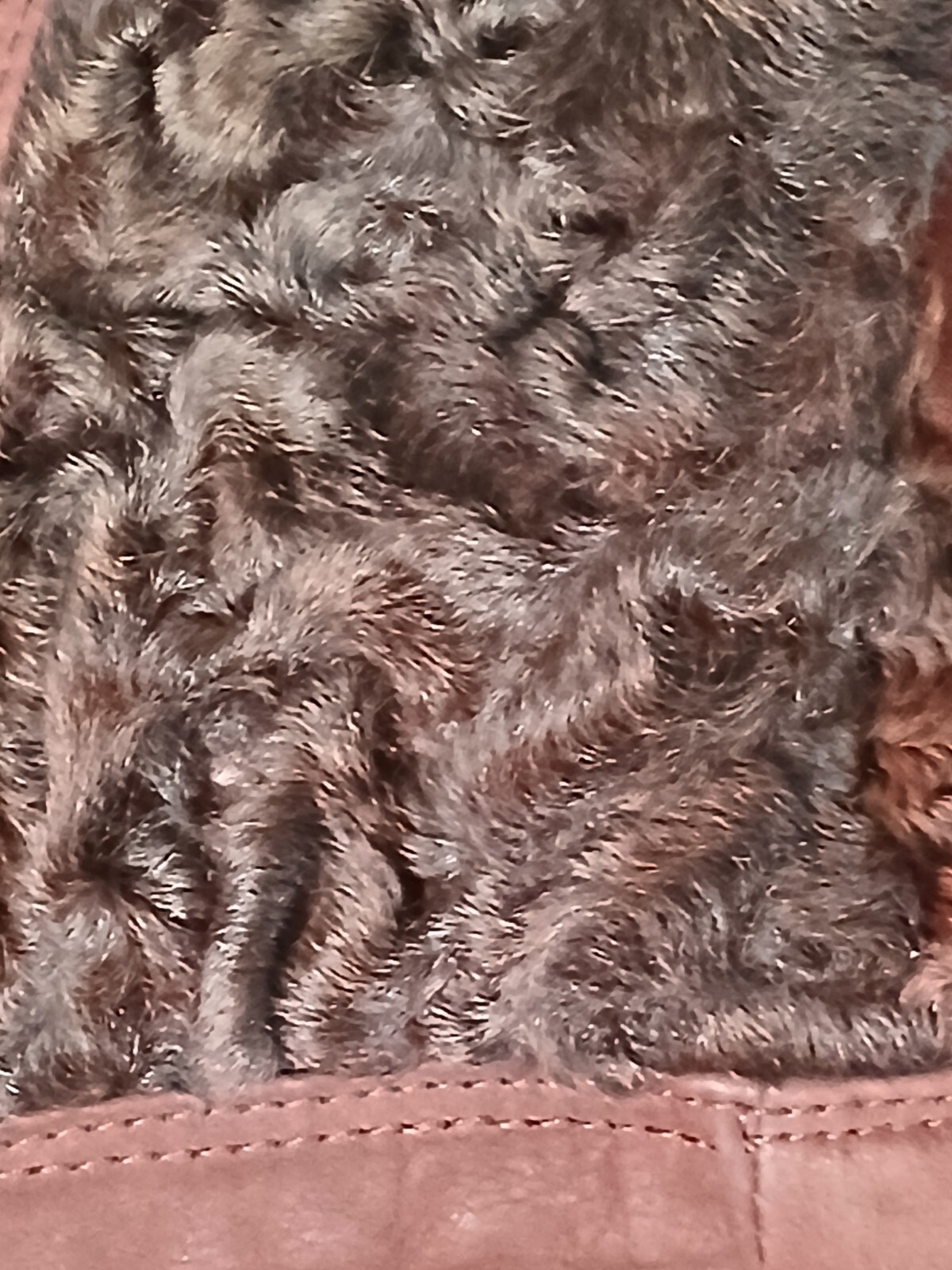 Gallotti leather/curly lamb fur collar marble edge button coat Size 22/XXL NWT