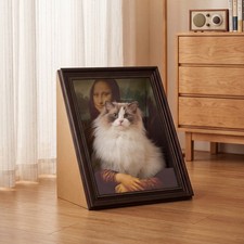 MonaLisa Hidden Cat Scratcher Toy Pad Kitten Scratching Board Mat Cardboard Play