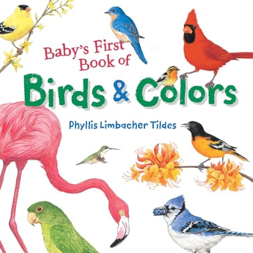 Baby's First Book of Birds & Colors by Phyllis Limbacher Tildes NEW - Image 2