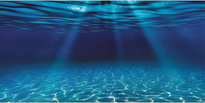 48x20 Inch Undersea Aquarium Background Fish Tank Backdrop Vinyl Ocean Floor