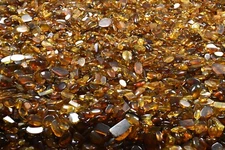 CHOOSE YOUR INSECT - Genuine Burmese Amber Fossil - Price per piece