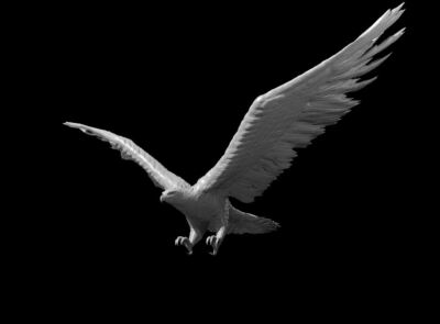 Giant Eagle 50mm Miniature D&D Warhammer Pathfinder AoS