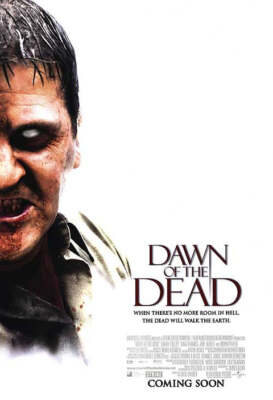 Dawn Of The Dead Sarah Polley, Ving Rhames Movie Poster 17 X 12