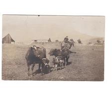 c1900 RPPC PC Rancher Horse Cattle Farm Mountains - Cove Oregon Stearns Fellbaum