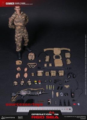 In Stock DAMTOYS DMS007 1/6 Scale PLA Marine Machine Gunner Zhang Tiande