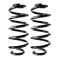 Fahrwerksfedern-Set Hinten Schraubenfeder Ø128Mm Spidan FüR U.A. Nissan X-TRAIL
