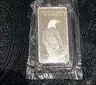 10 oz silver bullion bars.999