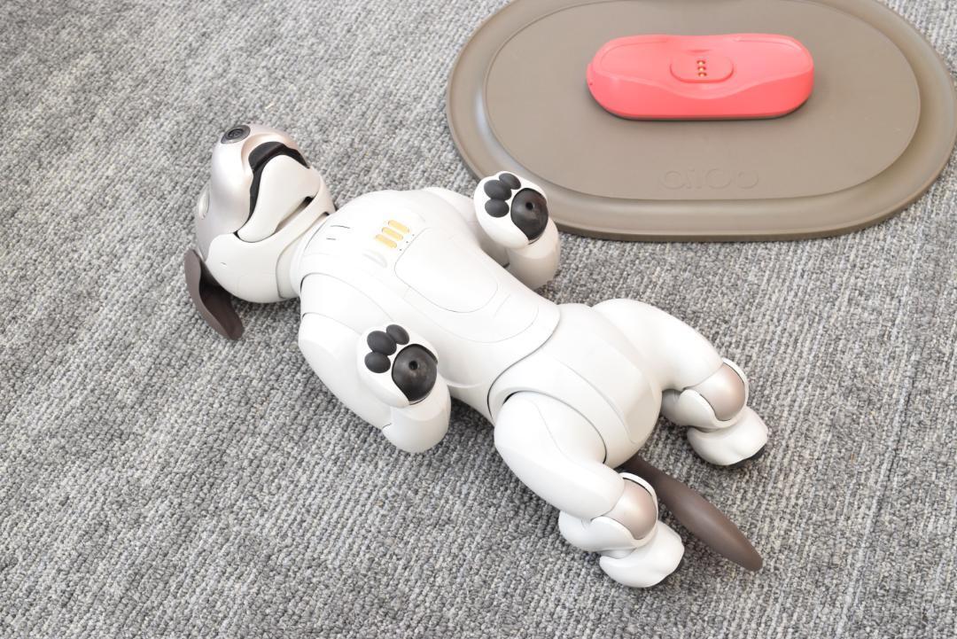 SONY Aibo ERS-1000 Main Unit Dog Shaped Virtual Pet Robot