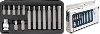 "Bgs 15X Bit Bits 1/2\" NüSse Torx T20-T25-T30-T40-T45-T50-T55 T-Profil Nuß Satz"