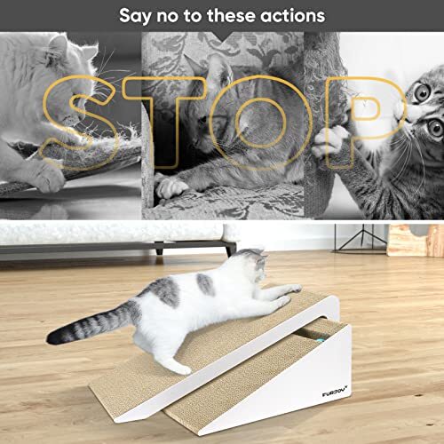 キャットフード Akuri キャットフード Akuri キャットフード Akuri Akuriキャットフード