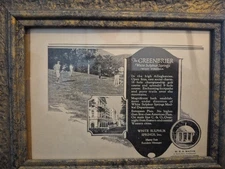 Greenbrier Resort Hotel Golf & Water C&O Railroad Railway Framed Harry Tait Ad