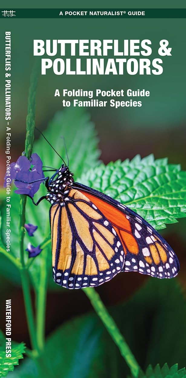 Butterflies & Pollinators (Nature Observation North America)