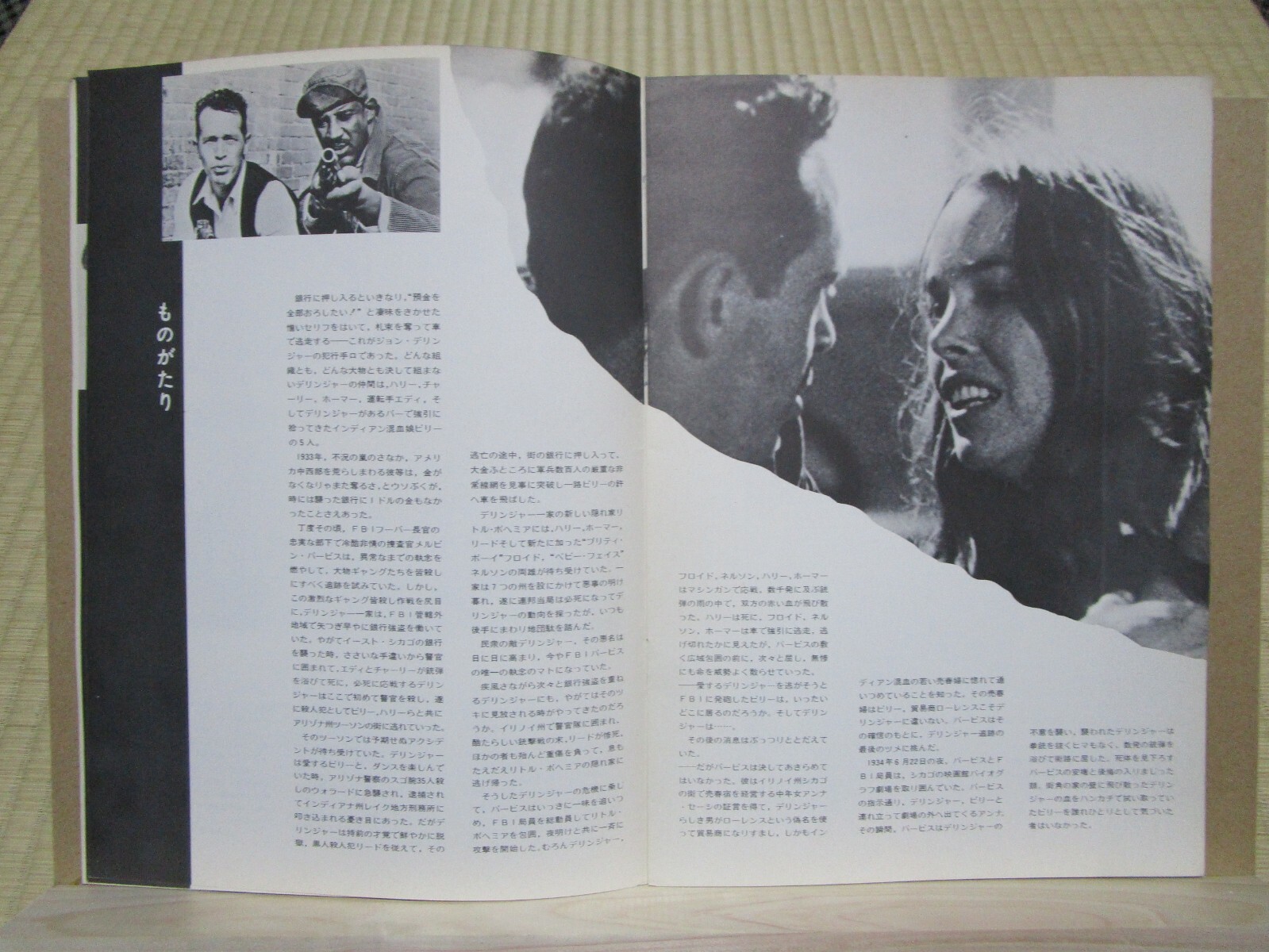 Film Dillinger John Milius Warren Oates Movie Program Japanese F S Ebay
