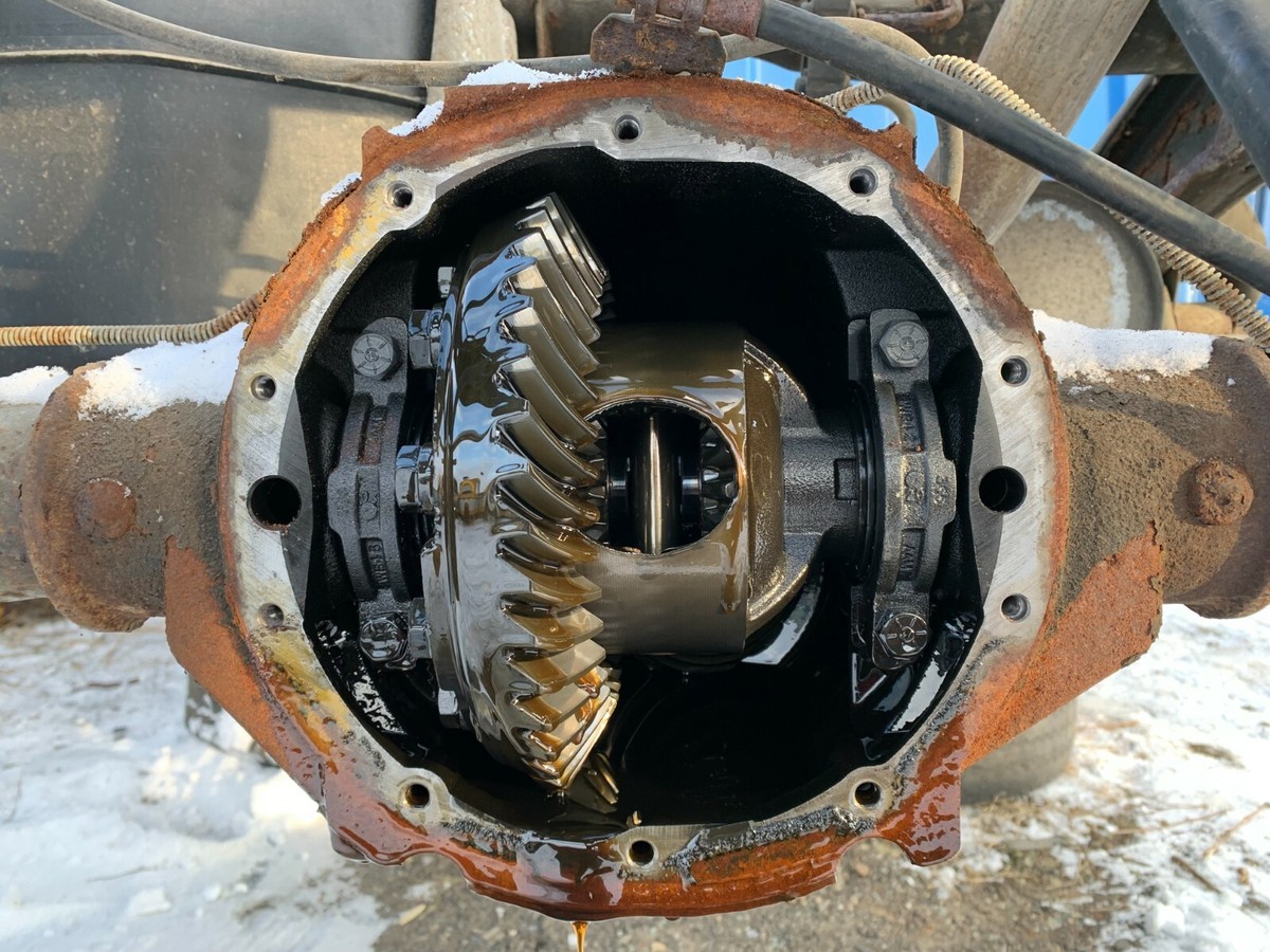 Gm Rear Axle Identification 47 55.1 Rear Axle Identification/Ratio