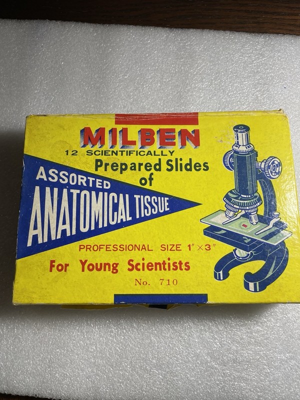 Slides Of Assorted Anatomical Tissue
