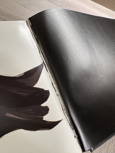 The Art of Batman Begins von Mark Cotta Vaz (Hardcover, 2005) - Bild 7 von 9