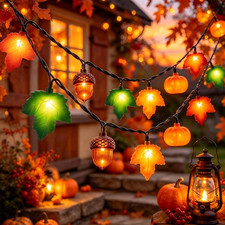 8.5Ft Fall Decor String Lights, 10 LED 3D Pumpkin Acorn Maple Leaf Plug In