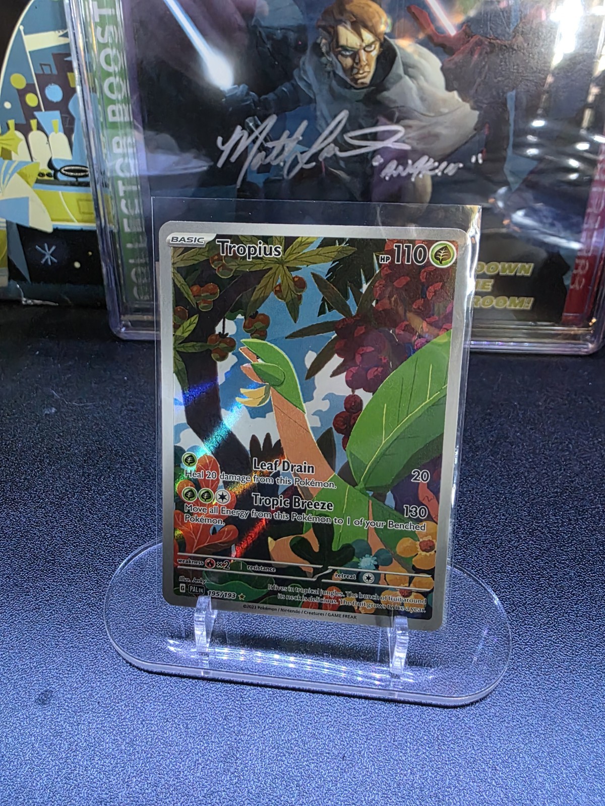Pokémon TCG Tropius 195/193