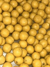 ? Creamy Nut 16mm Boilies 900g ? 11.10 per kilo