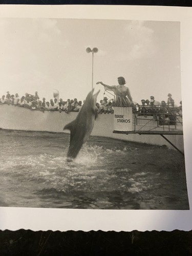 Vintage Photo Marine Studios Dolphin Jumping Woman Model Pretty Girl MarineLand - Picture 2 of 3