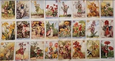 Michael Miller Alphabet Flower Fairies Cotton Fabric Panel 23 x 43