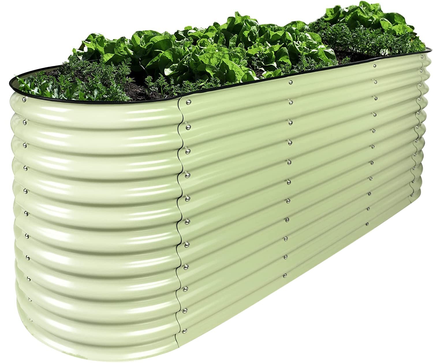 САДОВАЯ КЛУМБА OLLE С МЕТАЛЛИЧЕСКИМ ПОДЪЕМОМ 12 В 1 ЦВЕТЫ И ТРАВЫ ДЛЯ САДОВОДСТВА СВОИМИ РУКАМИ - ШАЛФЕЙ ЗЕЛЕНЫЙ