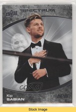 2021 Upper Deck AEW Spectrum Kip Sabian #43 READ 1hk5