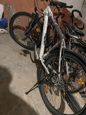 Conway Multi Transport 1.0 Mountainbike Silber mit Schutzblechen und Ständer