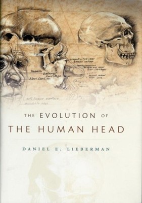 Evolution of the Human Head Daniel E. Lieberman