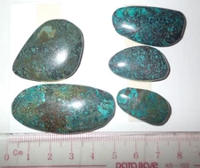 Turquoise Stone Flat Free Form Cabochon 144 Carat 5 pieces 28.8 gram Lot C