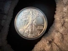 Capsuled 2009 American Silver Eagle 1 Troy Oz. .999 Fine
