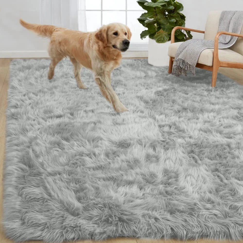  Rubber Backed Area Rugs